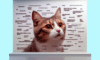 Cat Meme Guide: Achieve Feline Fame Online