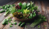 Fresh Summer Salad: A Vibrant Guide to Enjoying Summer Flavours