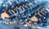 House Clearance Costs in the UK: A Vital Negotiation Guide