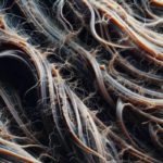 Reversing Heat Damage: Top Strategies for Effective Recovery