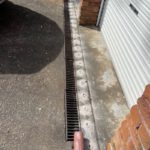 Termite Protection: Identifying Coverage for Your Home