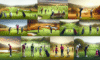 Choosing Golf Lessons: Your Guide in South Africa