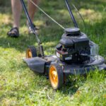 Grass Cutting Services: Essential Advice for Yeovil Gardens