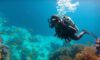Diving Guide: Tips for Belize’s Big Blue Hole Adventure