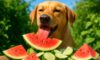 Pet Seasonal Diet Adjustments: Essential Health Insights