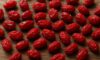 Dried Barberries: Authentic Persian Cuisine Recipes