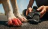 Pavement Safety Tips for Dogs: Must-Have Summer Guidance