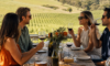 Yarra Valley Wine Tasting Experience with Picnic Lunch