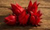 Hibiscus Flowers: Innovative Culinary Tips and Techniques