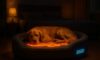 Temperature-Controlled Beds for Pets: Optimal Comfort Options